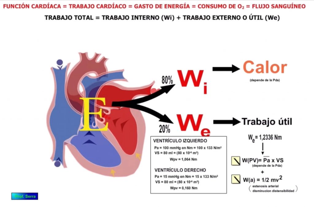 valores trabajo cardíaco presión volumen