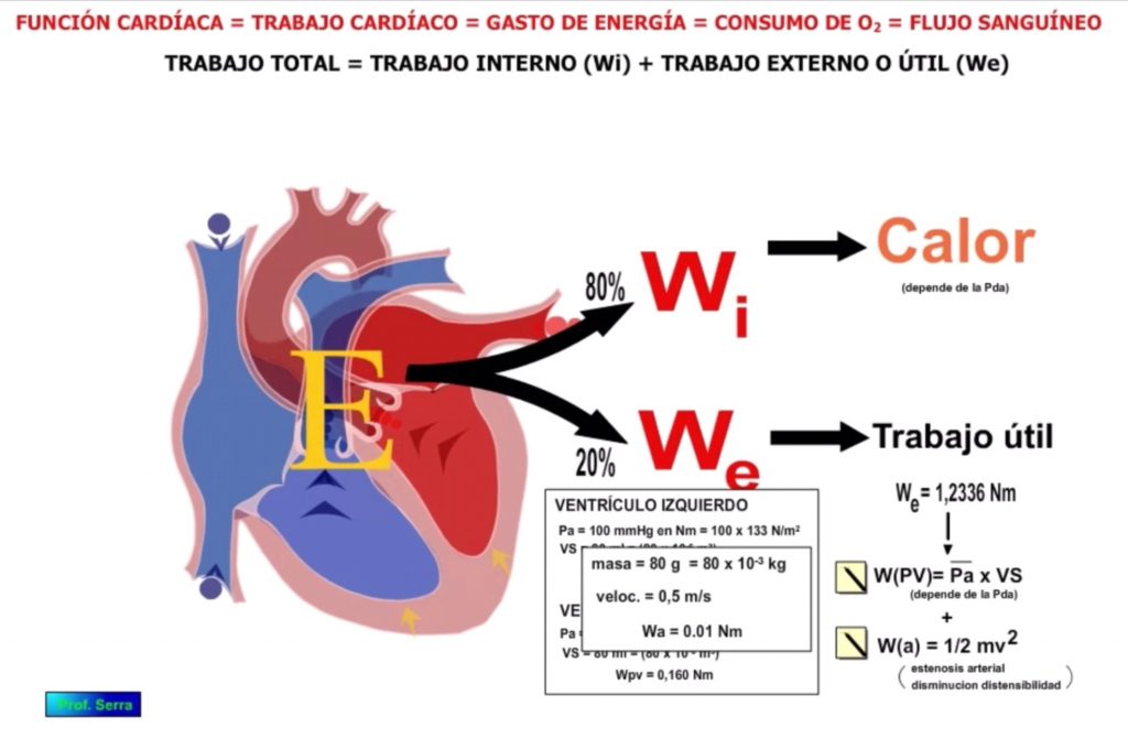 trabajo cinético cardíaco