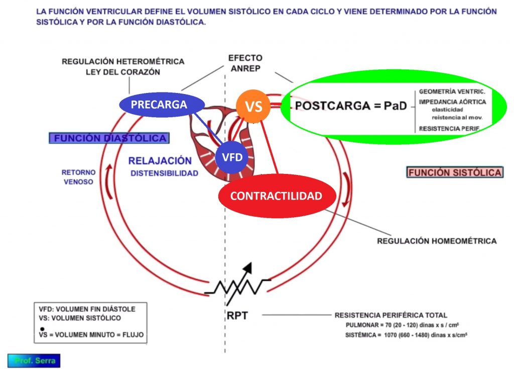 factores volumen sistólico