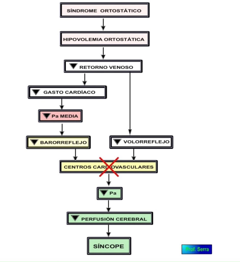 cv síndrome ortostático.