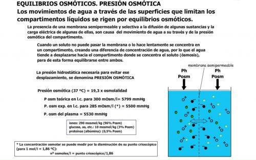 Presión osmótica