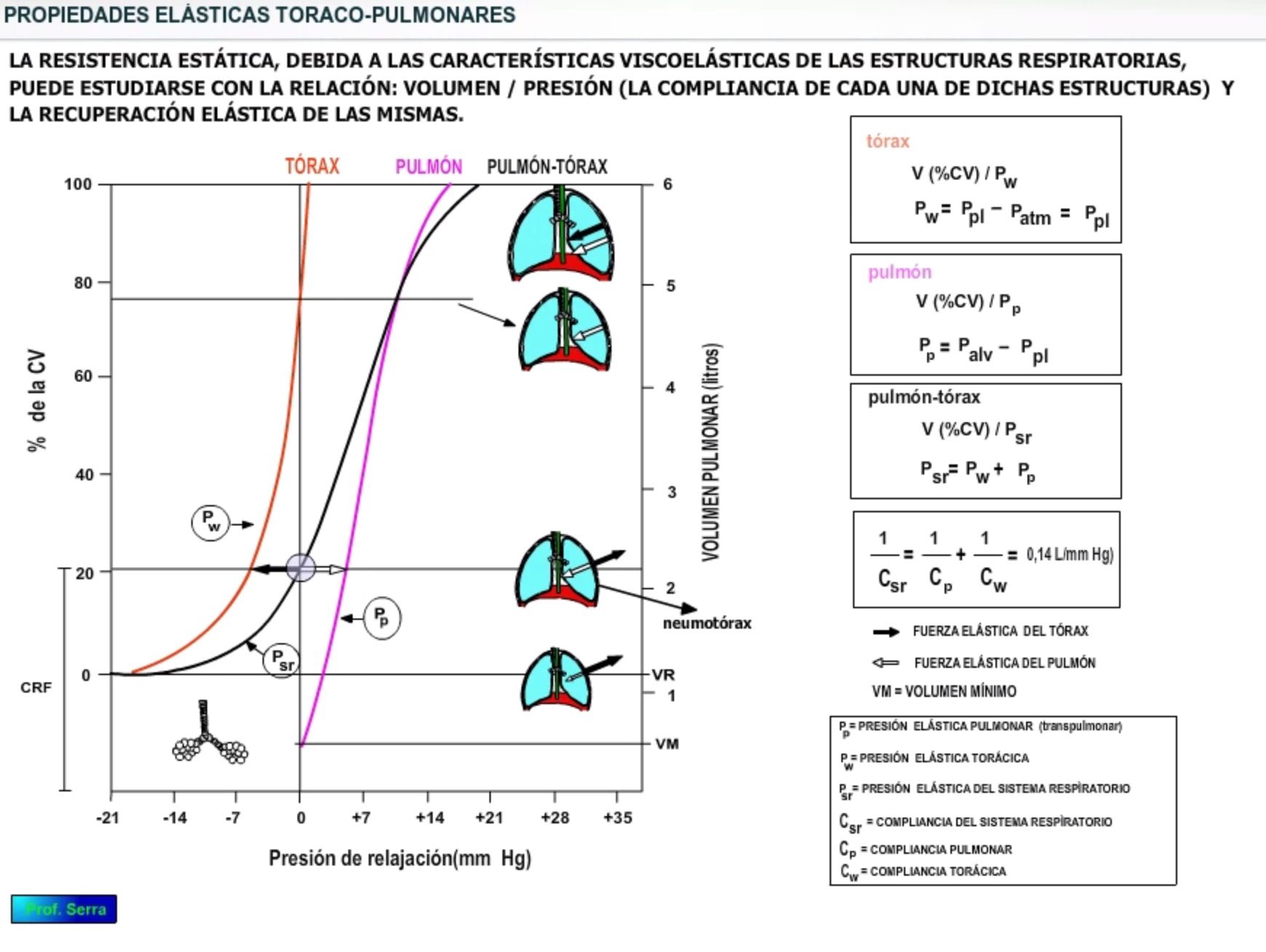 Ventilación pulmonar - WebFisio