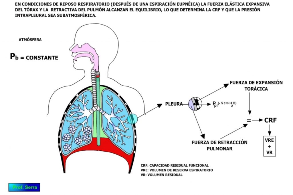 capacidad residual funcional