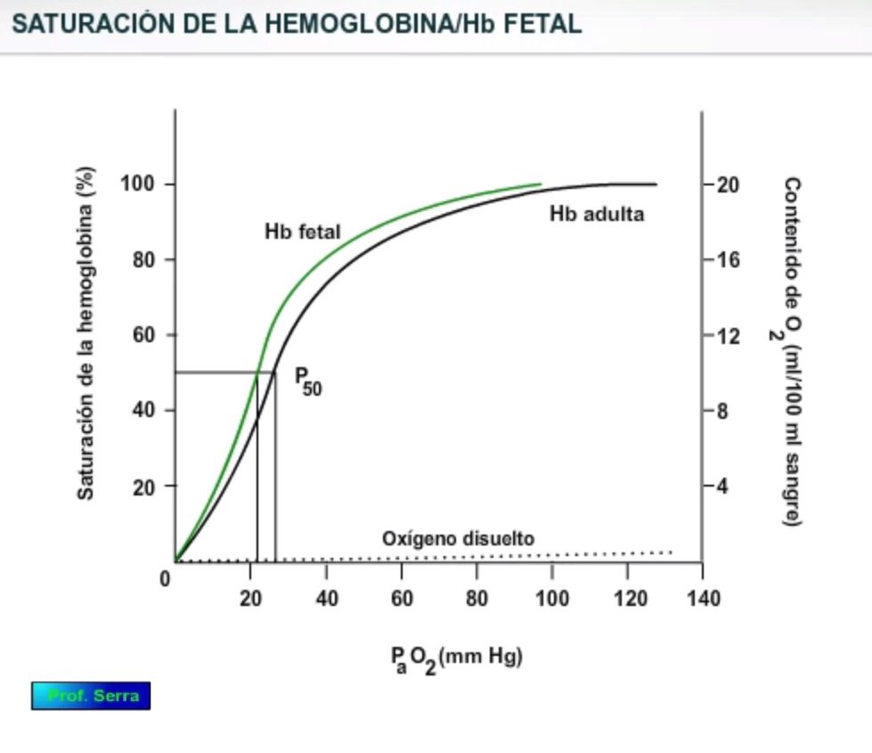 Efecto de la hemoglobina fetal