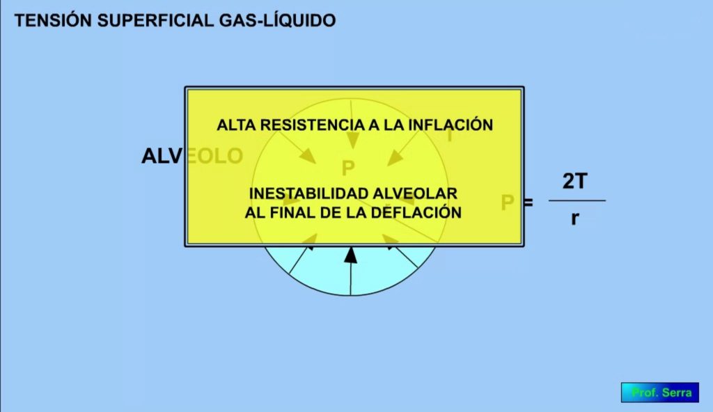 problemas de la tensión superficial en los pulmones