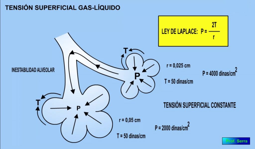 ley de Laplace