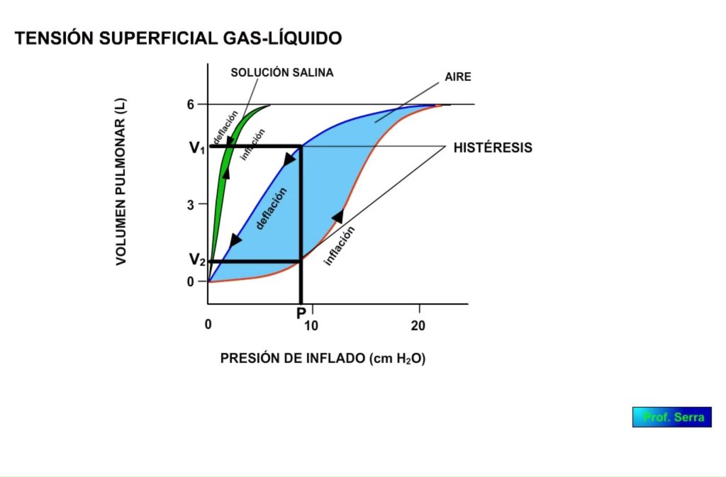 Tensión superficial. Curva VP/presión de inflado. Histéresis.