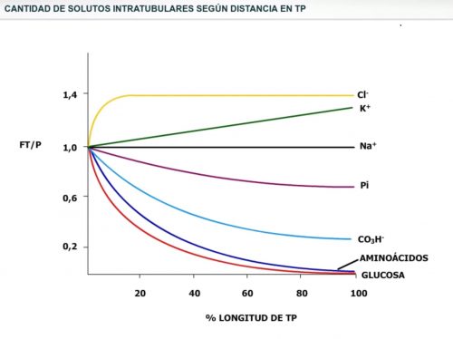 Contenido luminalde algunos solutos en el TP