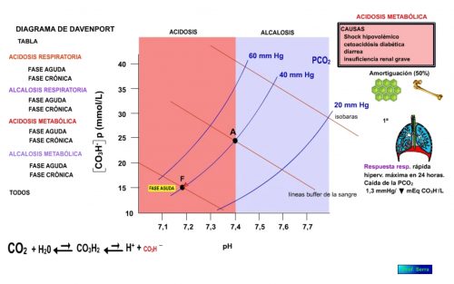 Acidosis metabólica. Fase aguda.