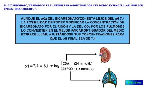 Par bicarbonato carbónico