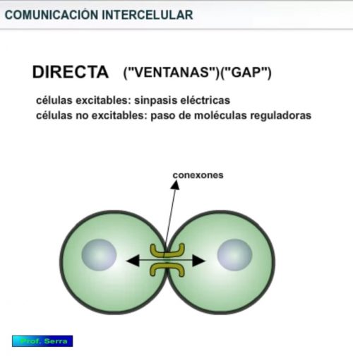 comunicación directa