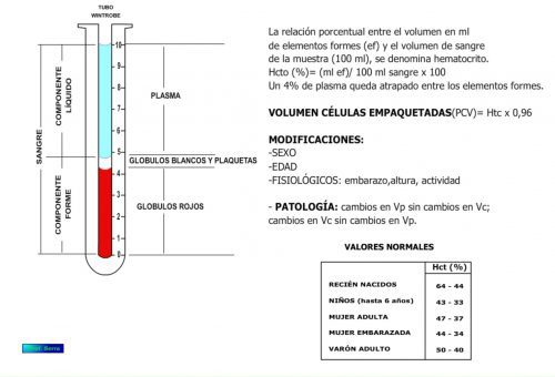 Hematocrito