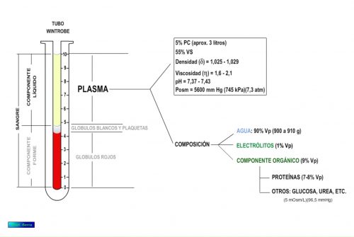 Plasma