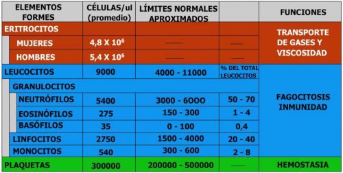 Valores sanguíneos