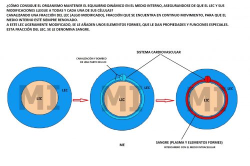 introducción a la sangre