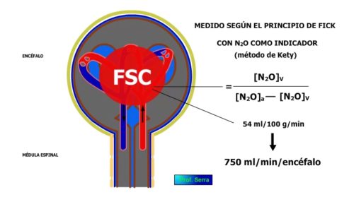 Medida del flujo sanguíneo cerebral. Método de Fick.