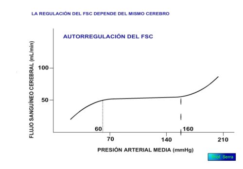 Autorregulación del flujo sanguíneo cerebral.