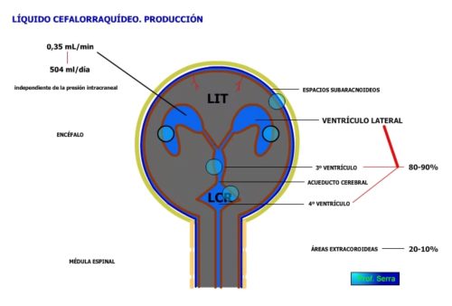 LCR. Producción.