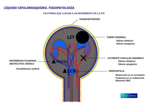 Fisiopatología de la BHE, LCR y CC