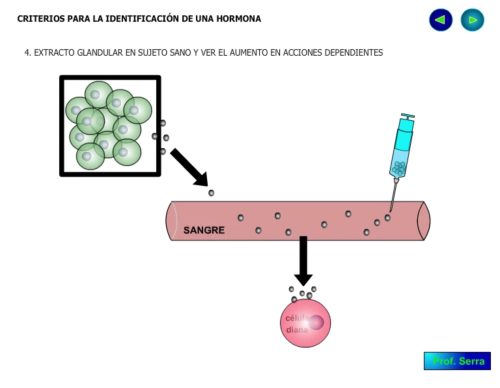 Inoculación de extracto glandula