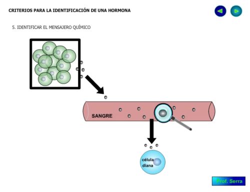 Identificación del mensajero