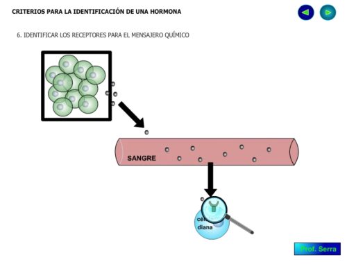 Reconocimiento del receptor