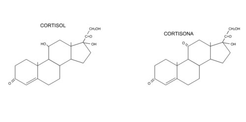 estructura química del cortisol.