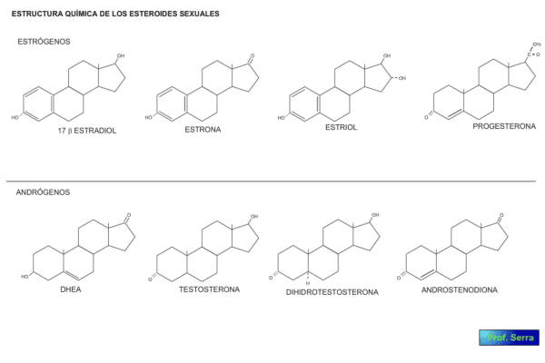 esteroides C19