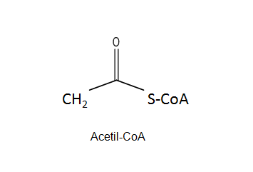 Acetil-CoA