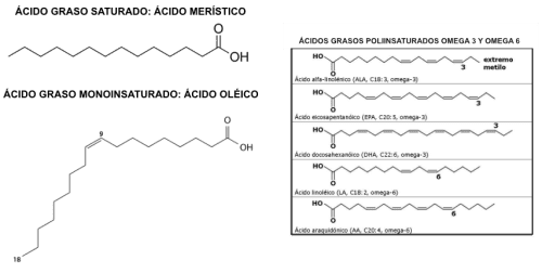AG saturados e insaturados