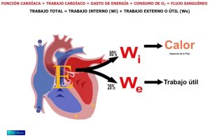 trabajo cardíaco