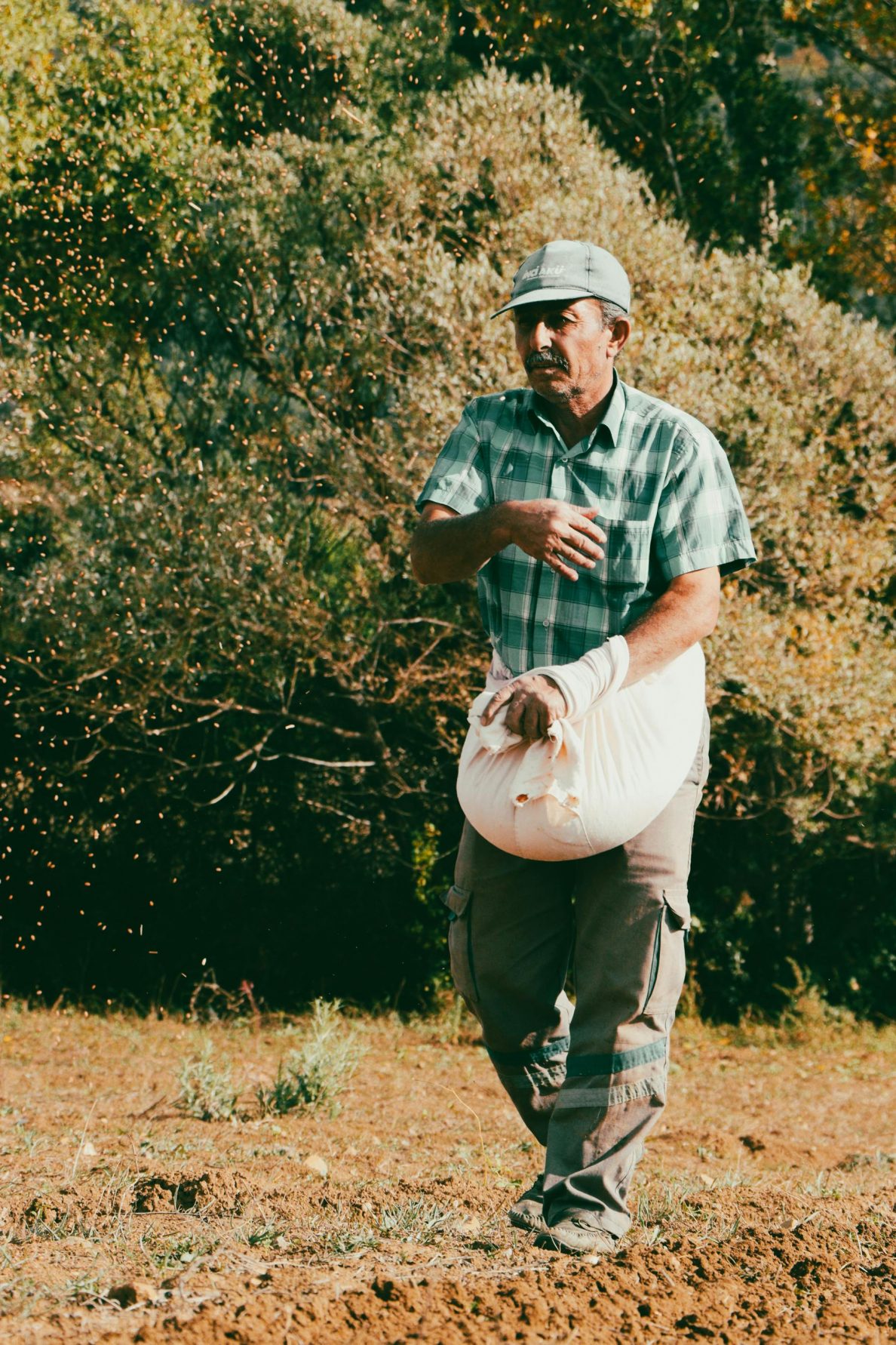 A farmer sows seeds in a rural field under a warm, sunny sky.