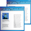 Website Design applications