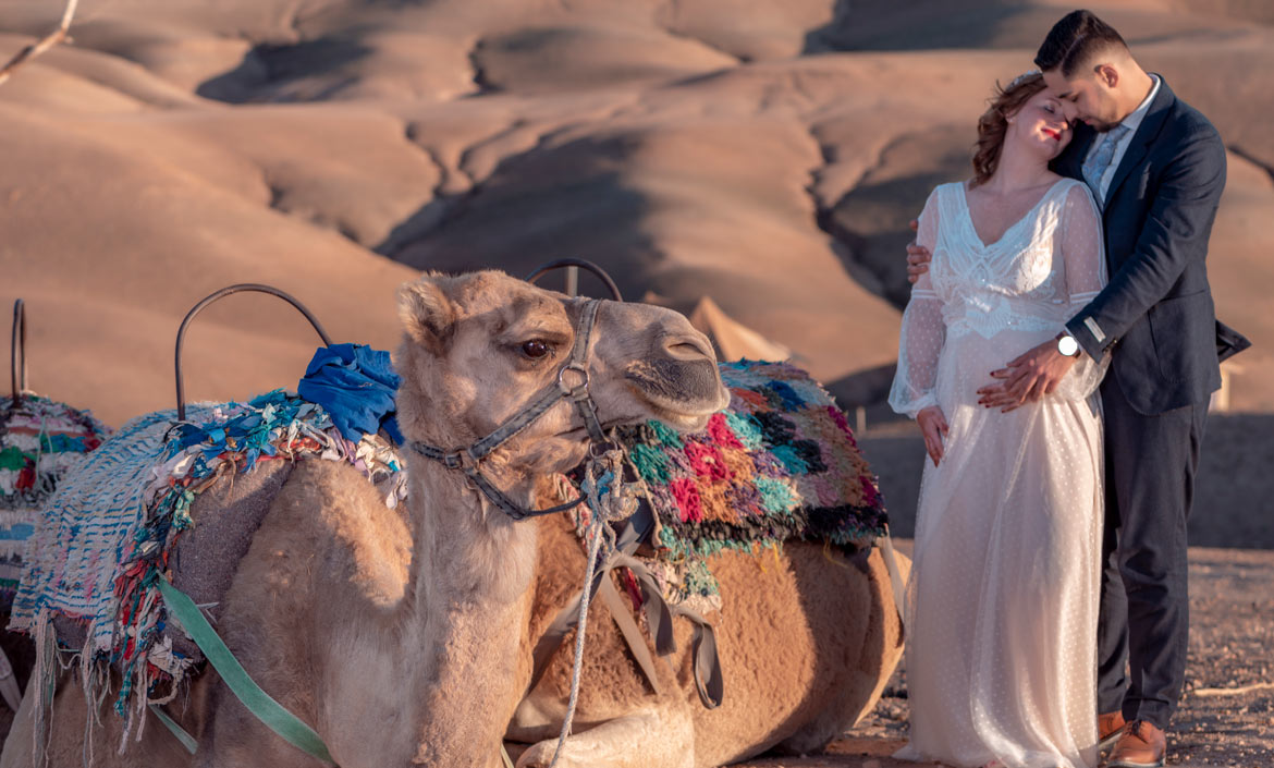 couple romantic desert camels
