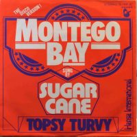 Sugar Cane – Montego Bay.
