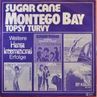 Sugar Cane – Montego Bay.