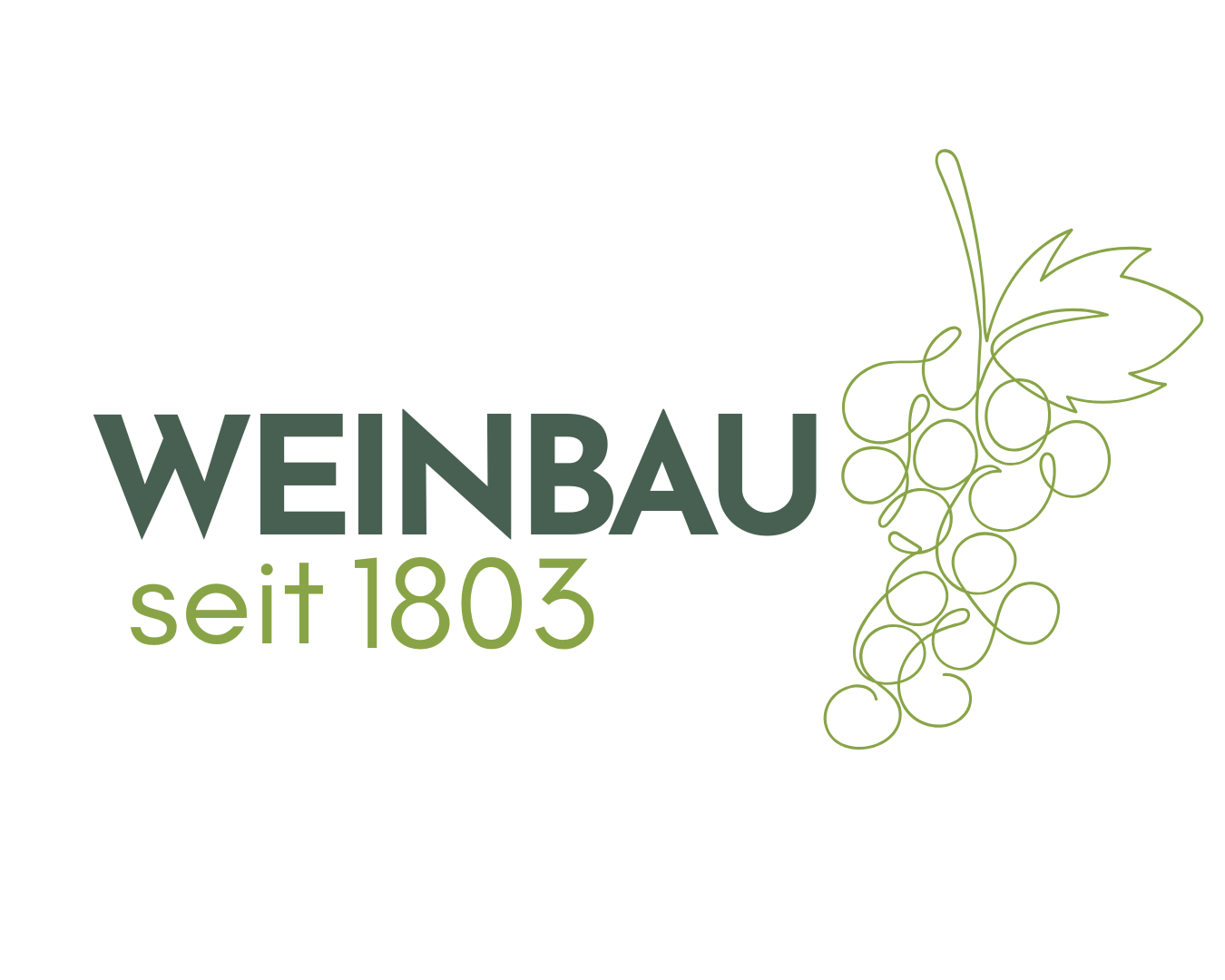 Weinbau auf der Weihermühle seit 1803 die Geschichre