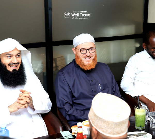 本革リビングダイニングチェア玉縁ルイXV世