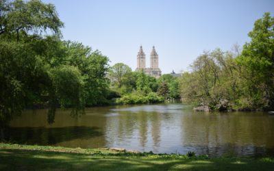 Central Park