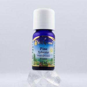 Pine Sylvester olja wellness ayurveda halmstad sweden svensk eterisk aroma olja