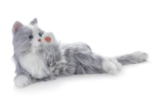 Silvrig robotkatt