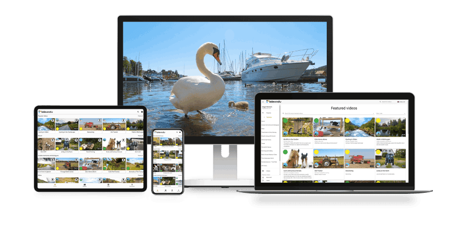 Televindu - Film som aktivitet