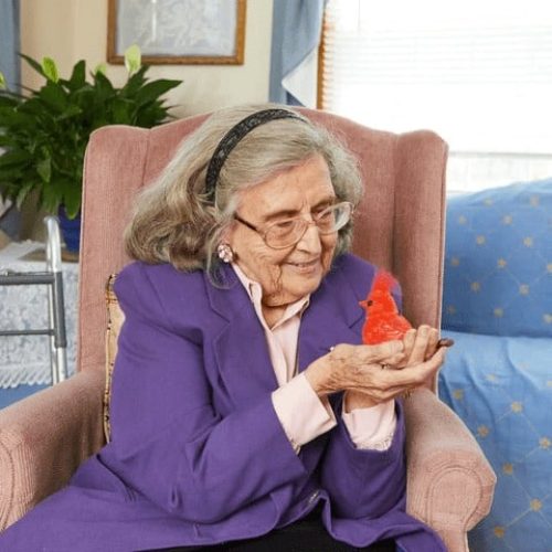 Rita med en Röd Kardinal