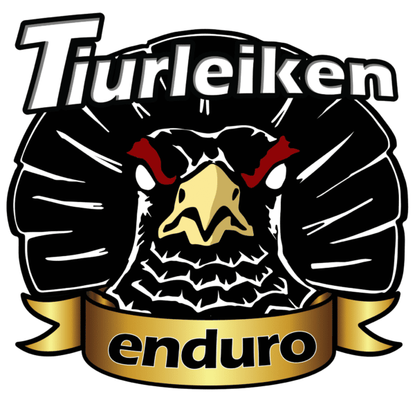 tiurleiken logo