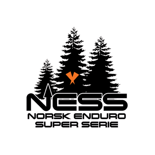 NESS logo