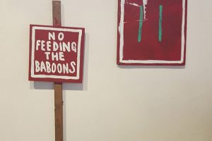 Echo 2018 - Jon Konkol - No feeding the Baboons