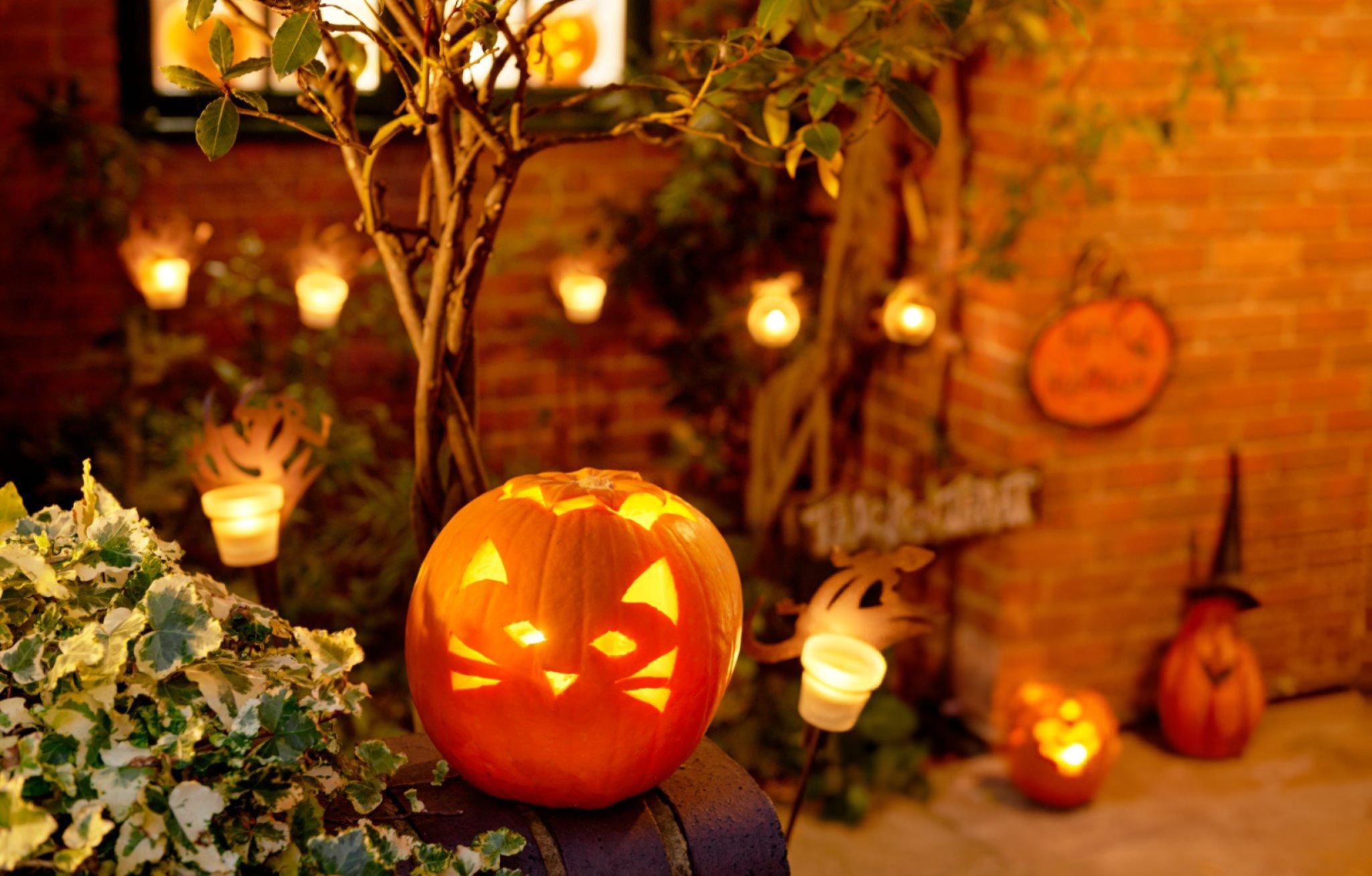 Halloween 2024 When is Halloween? Why is it celebrated? History