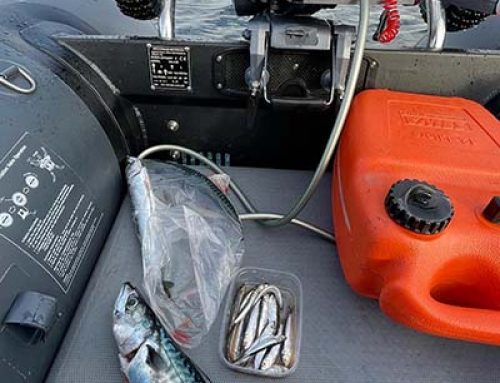 Buying an inflatable boat for fishing?
