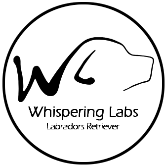 Whispering Labs