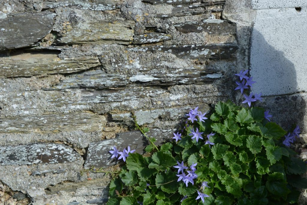 White Hart Cottage liskeard Holiday let cottage